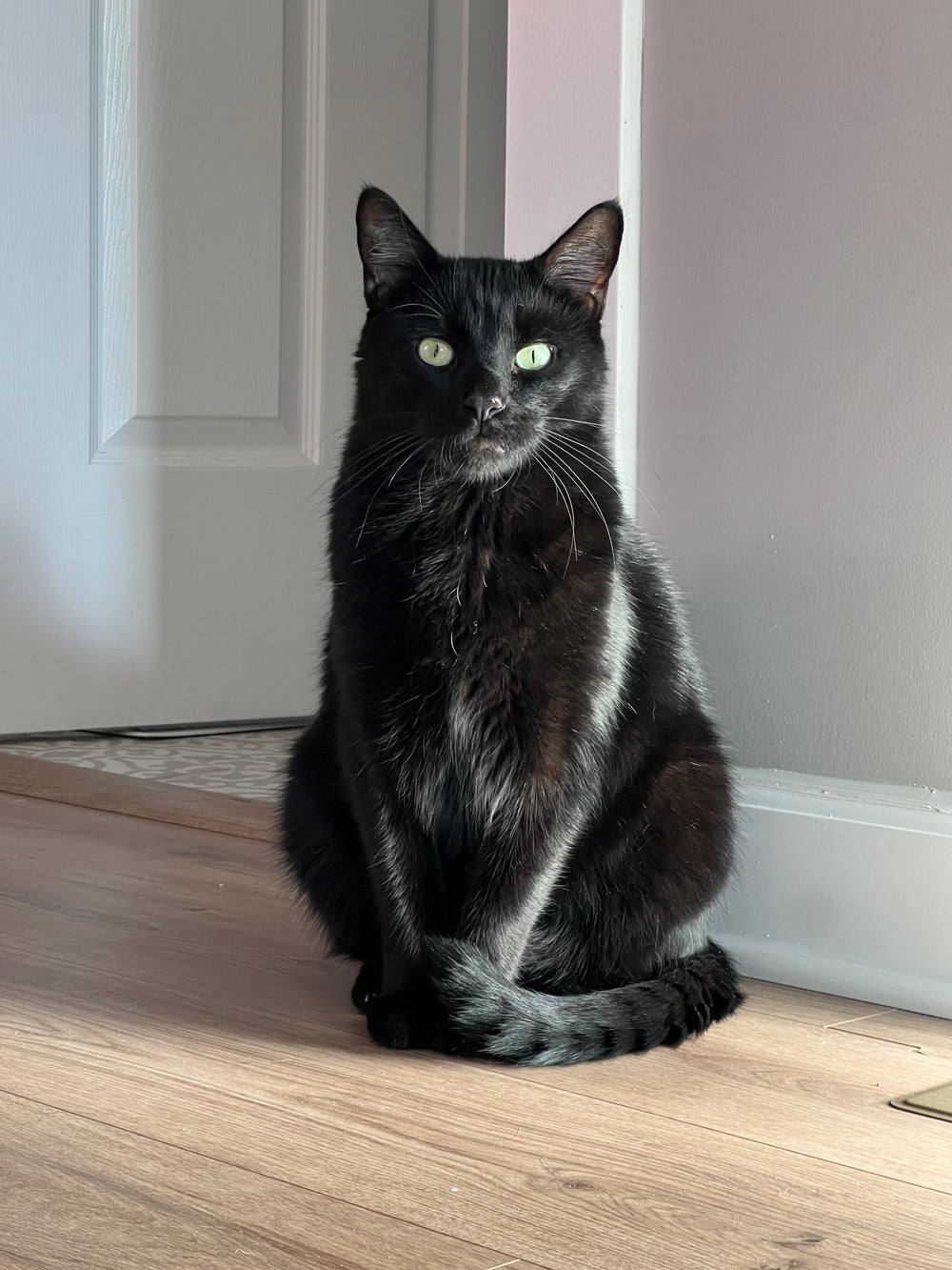 Lemon - original photo