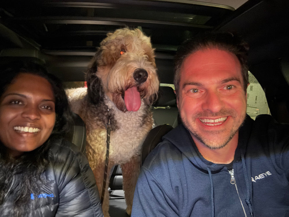 Original pet photo