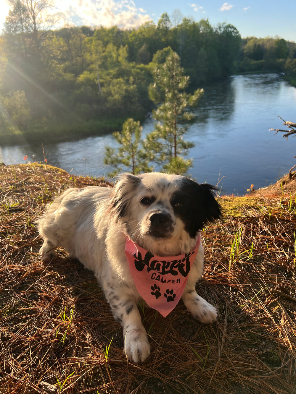 Chloe baby  - original photo