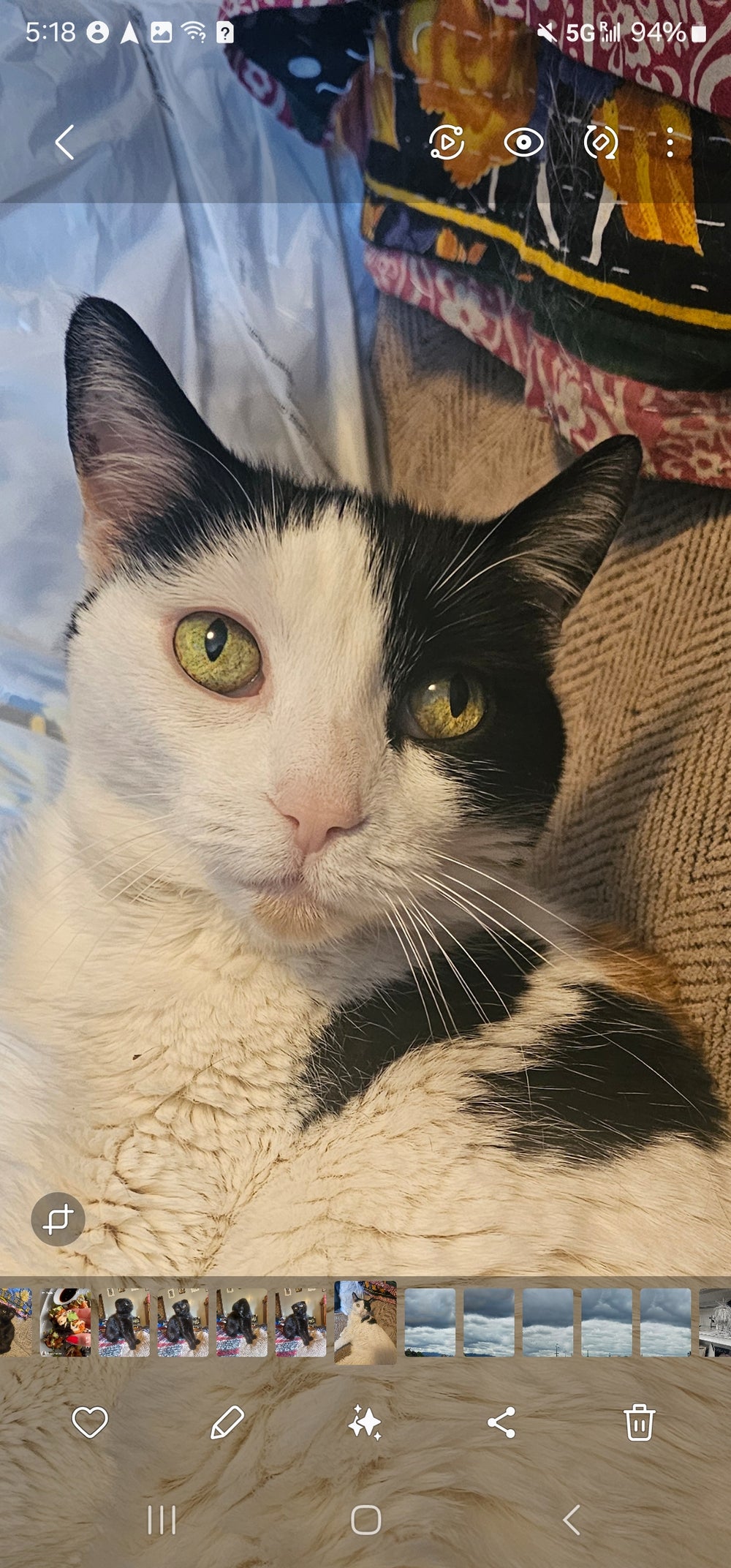 Tinker - original photo