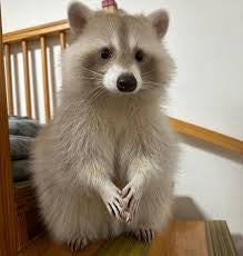 Adorable - original photo