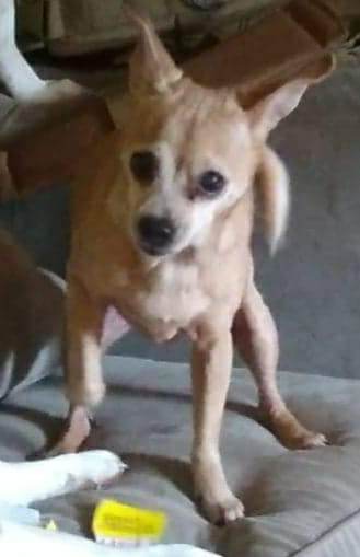 Precious  - original photo