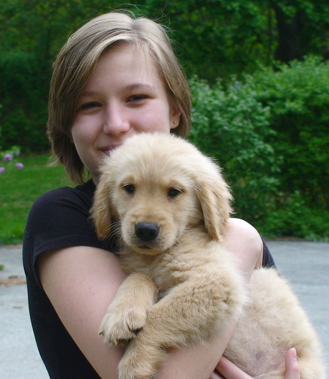 puppy - original photo
