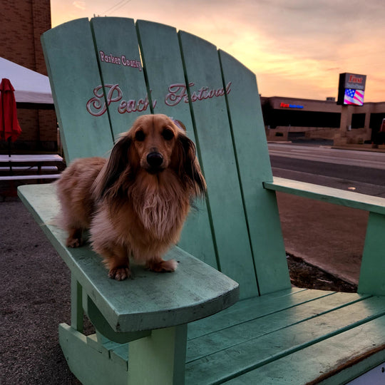 Duder - original photo