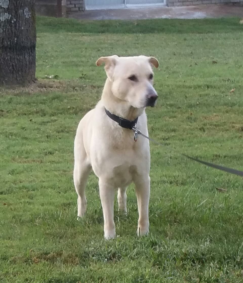 My Buddy - original photo