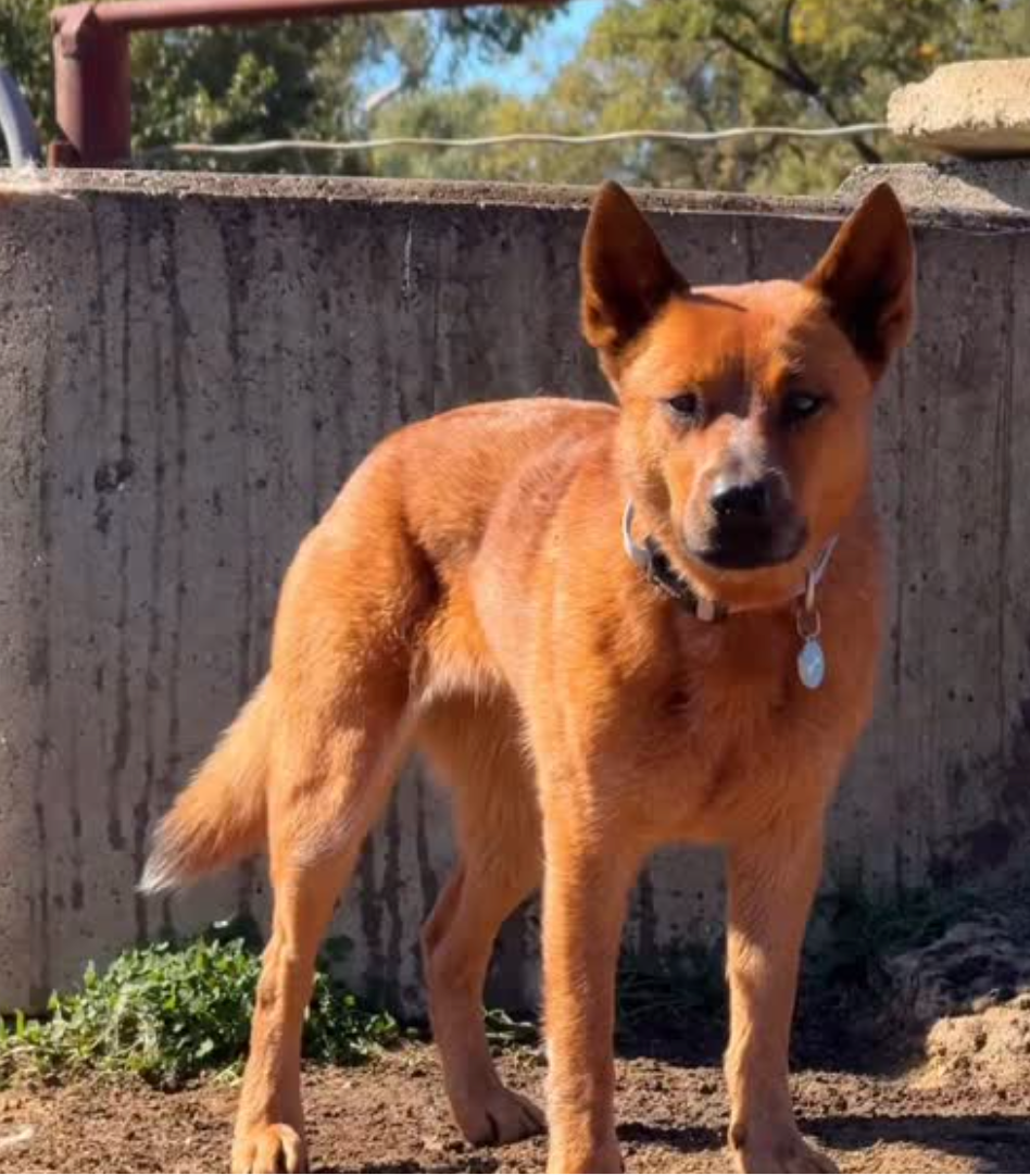 Winnie - original photo