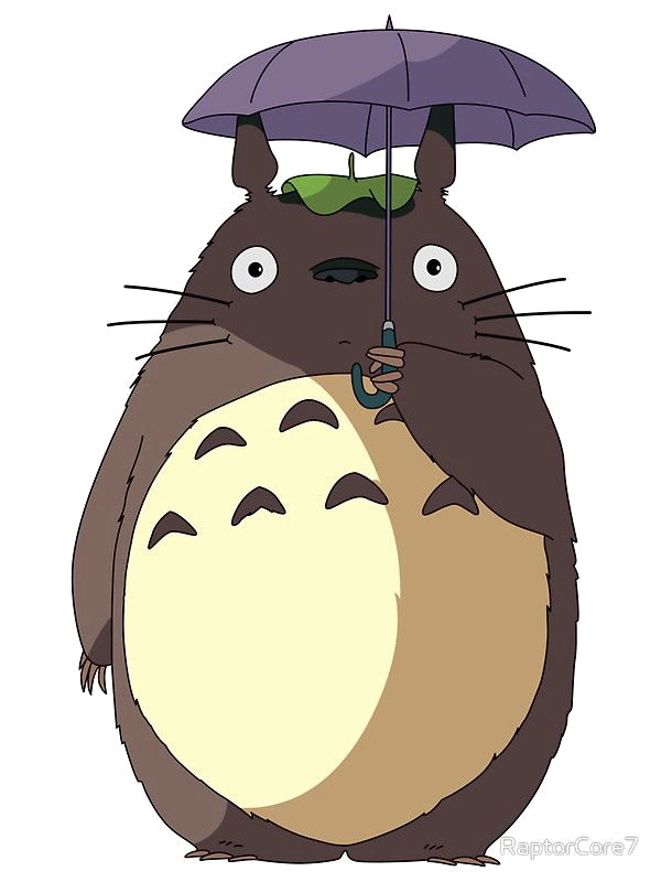 Totoro - original photo