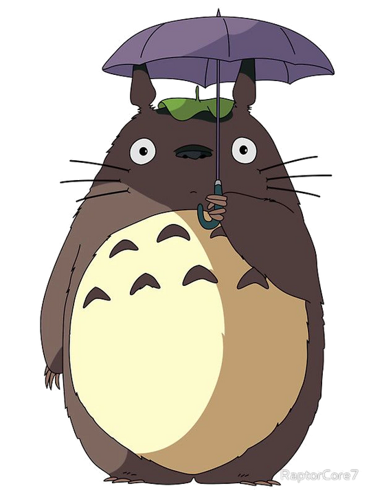 Totoro - original photo