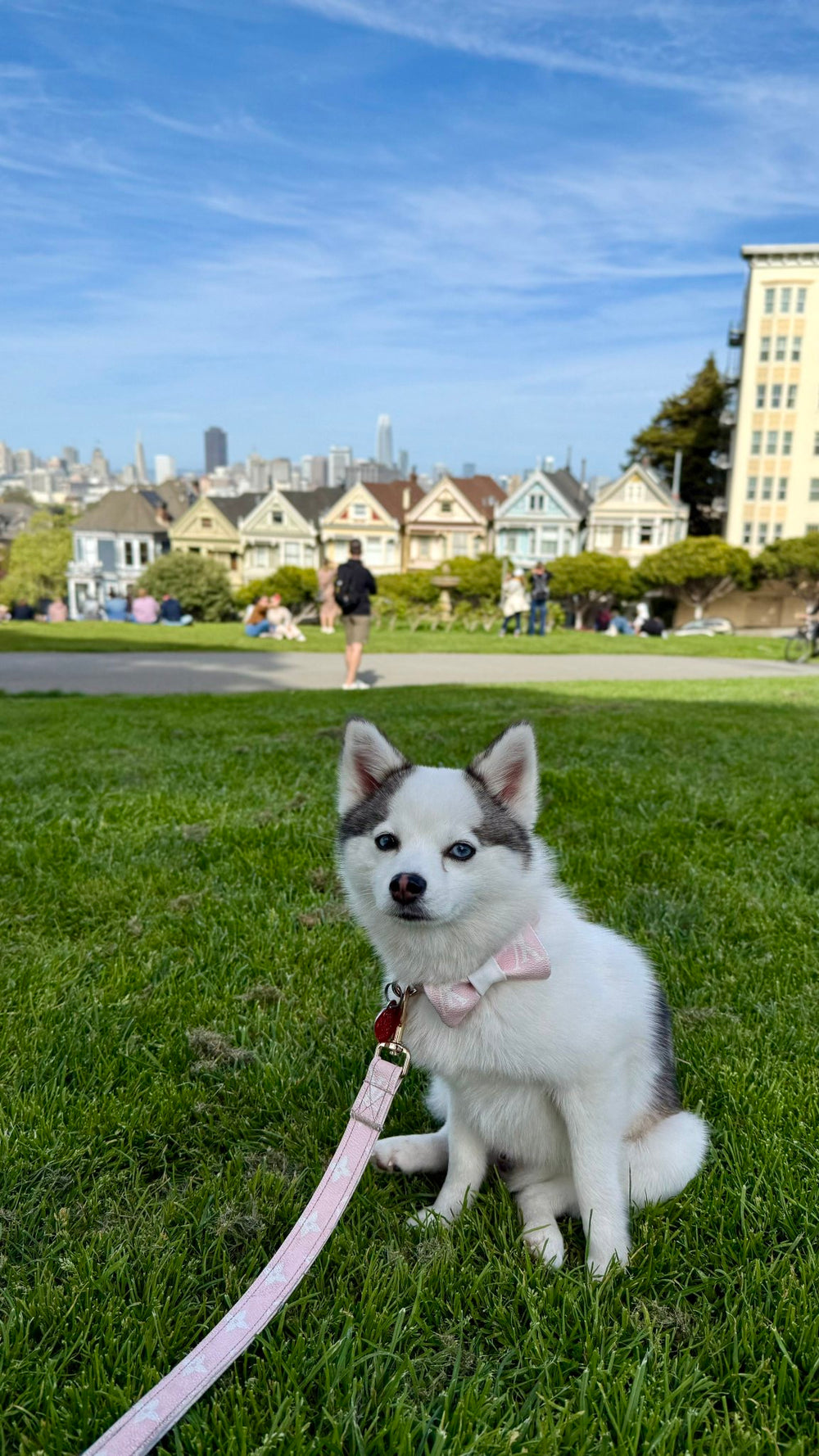 Mochi - original photo