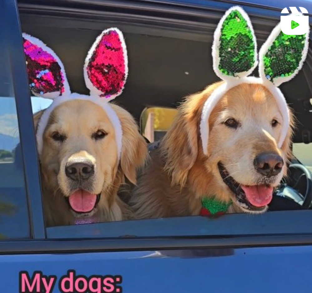 Sammy and Charlie - original photo