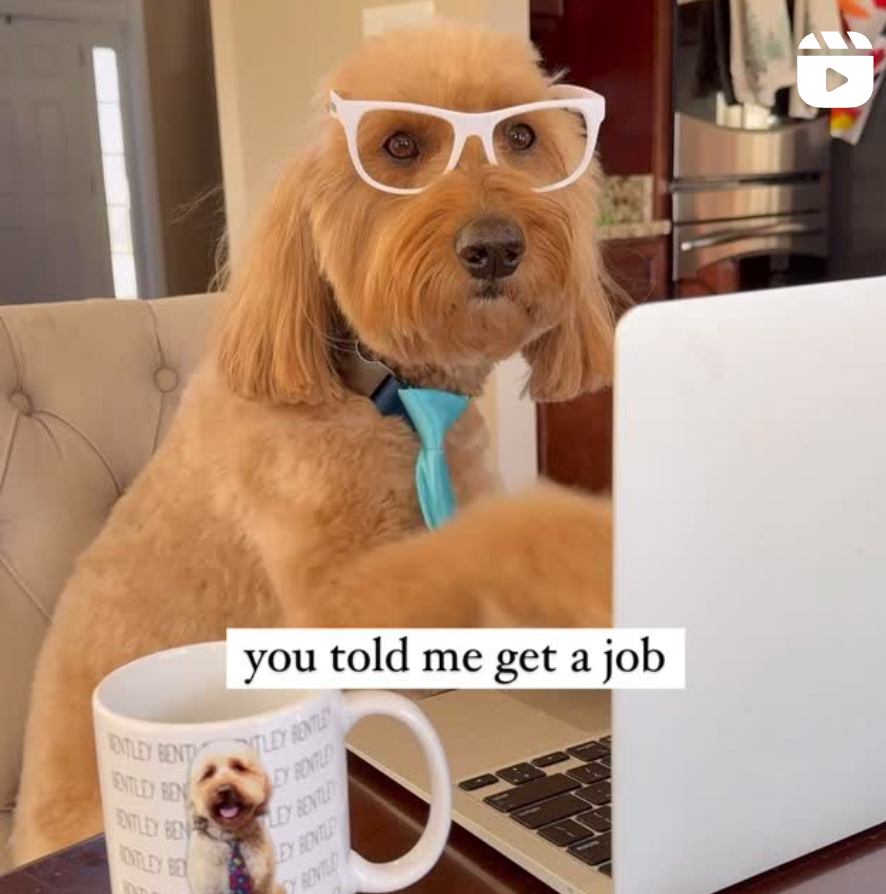 Bentley - original photo