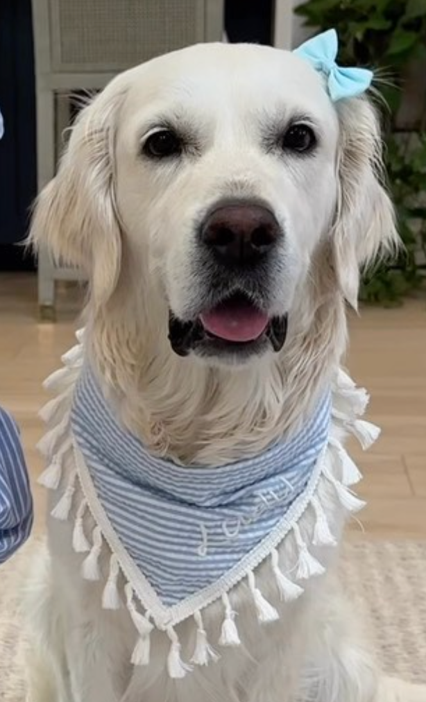 Lady - original photo