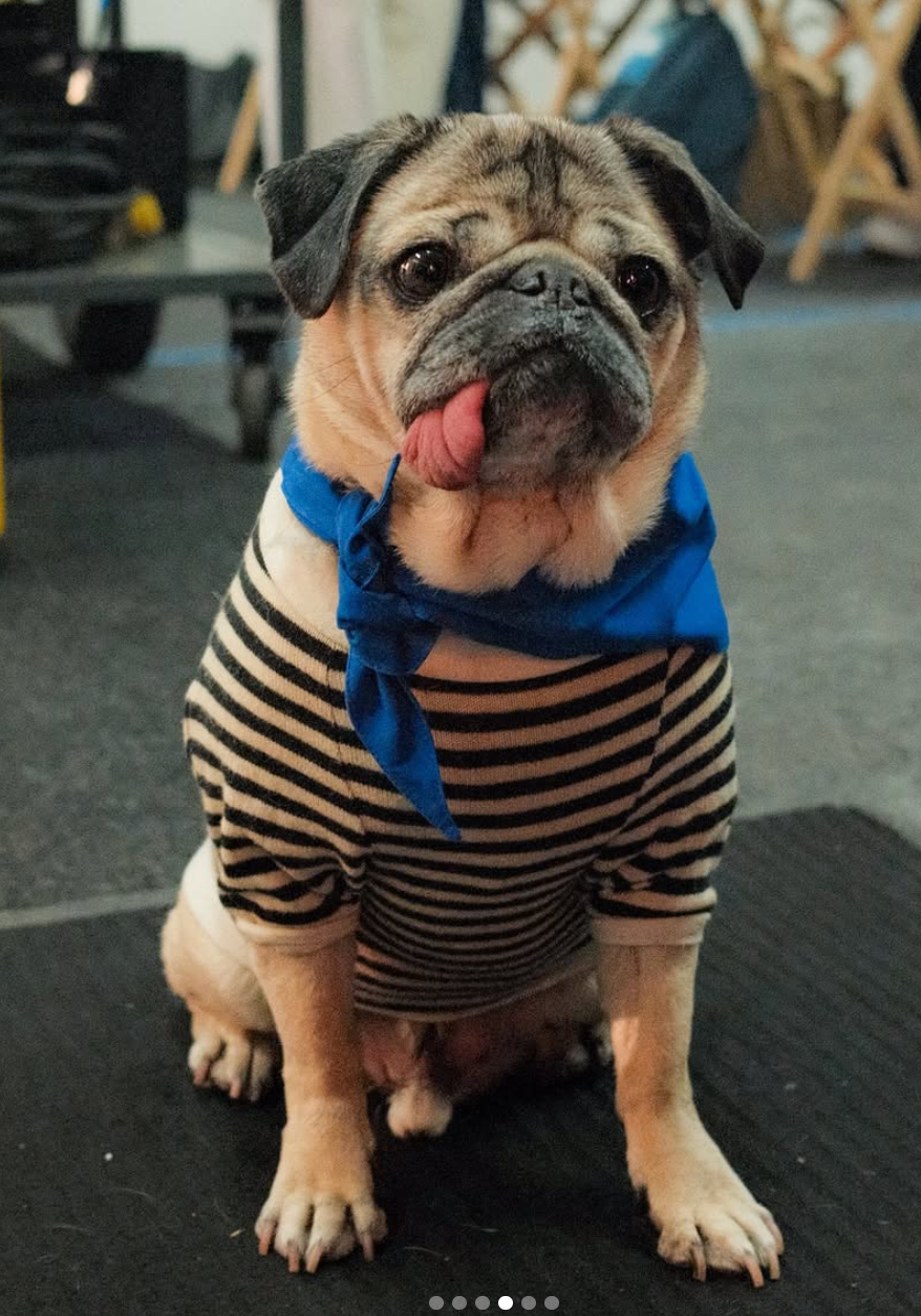 Doug - original photo