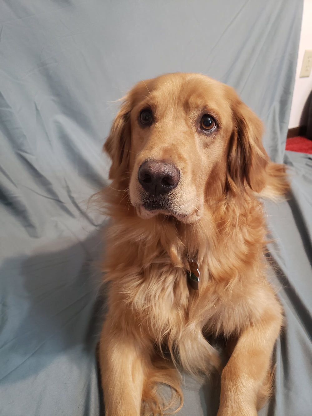 Maverick - original photo