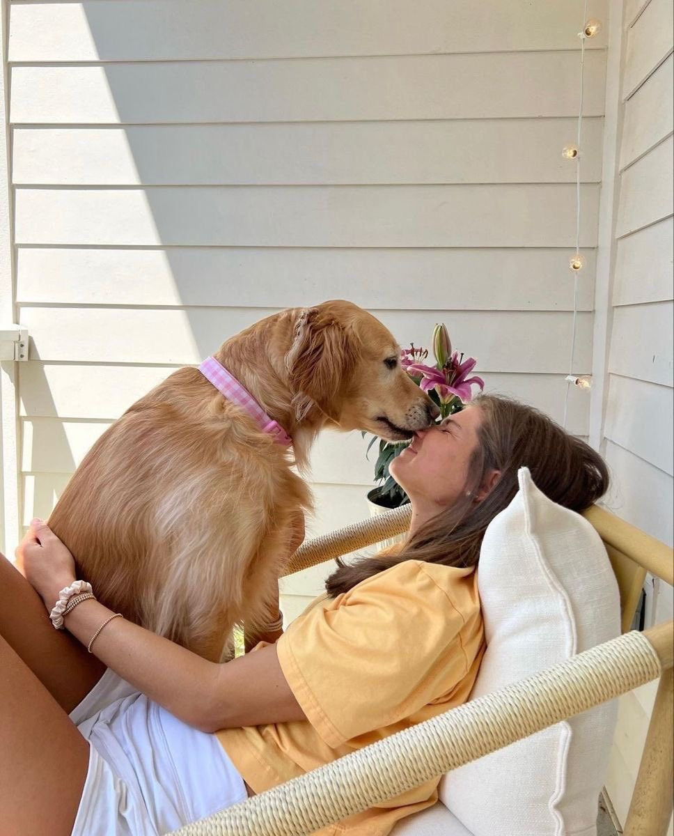 Original pet photo