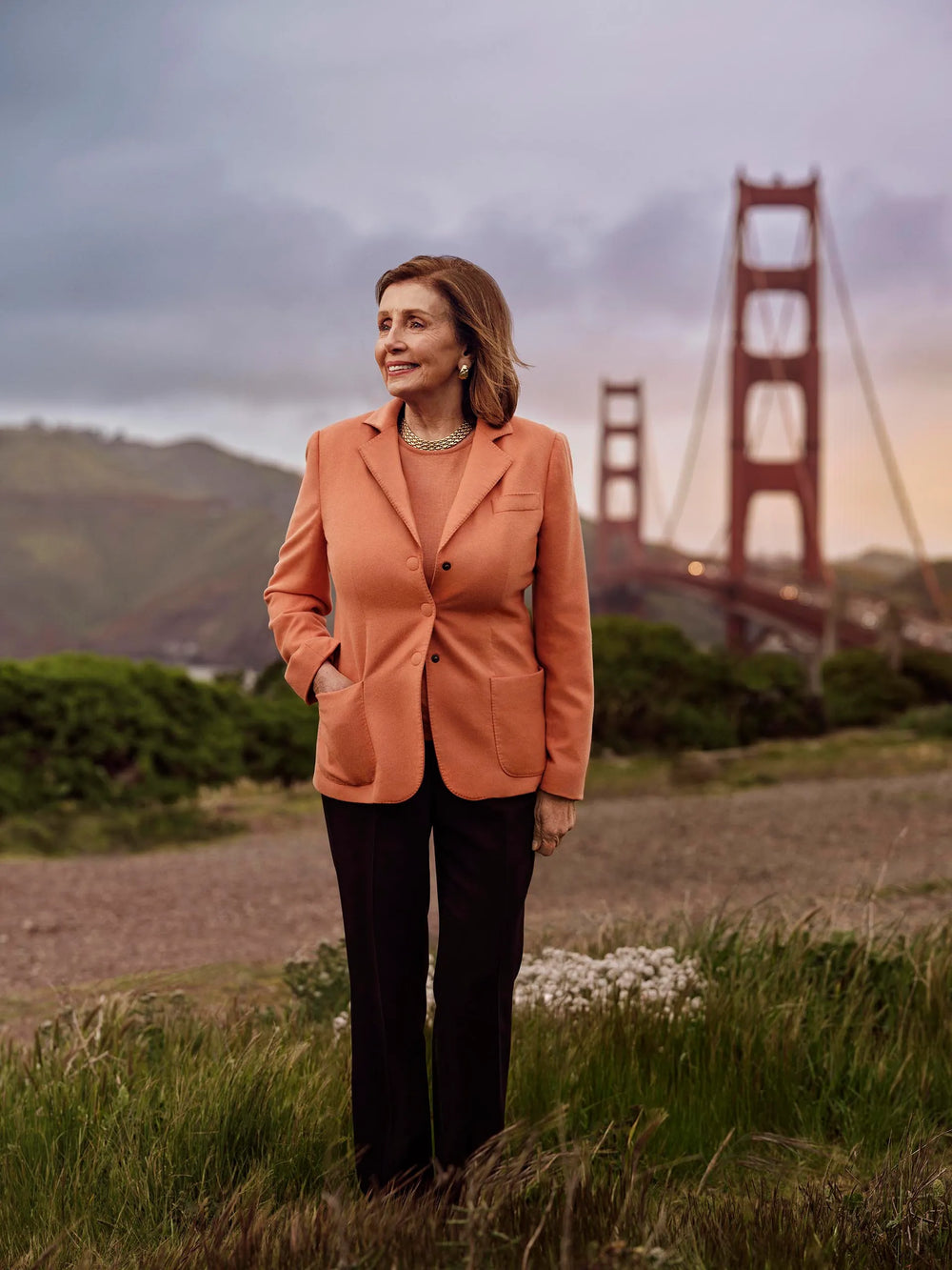The Life and Times of Nancy Pelosi - original photo