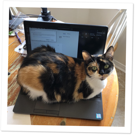 Original pet photo