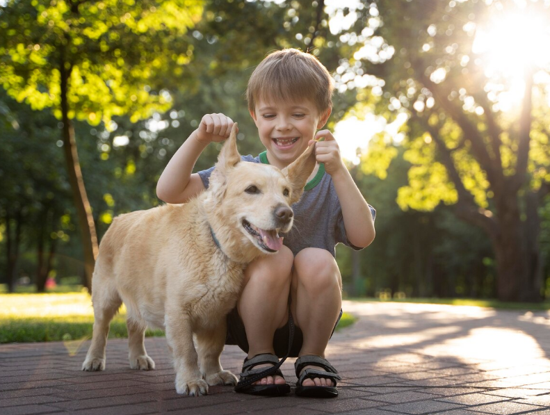 Original pet photo