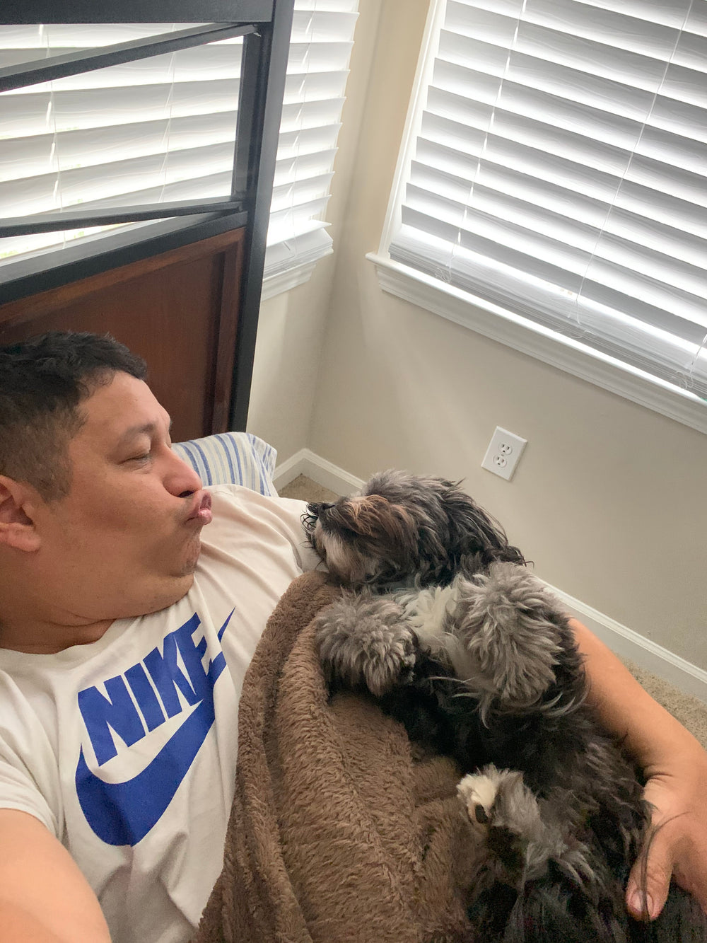 Original pet photo