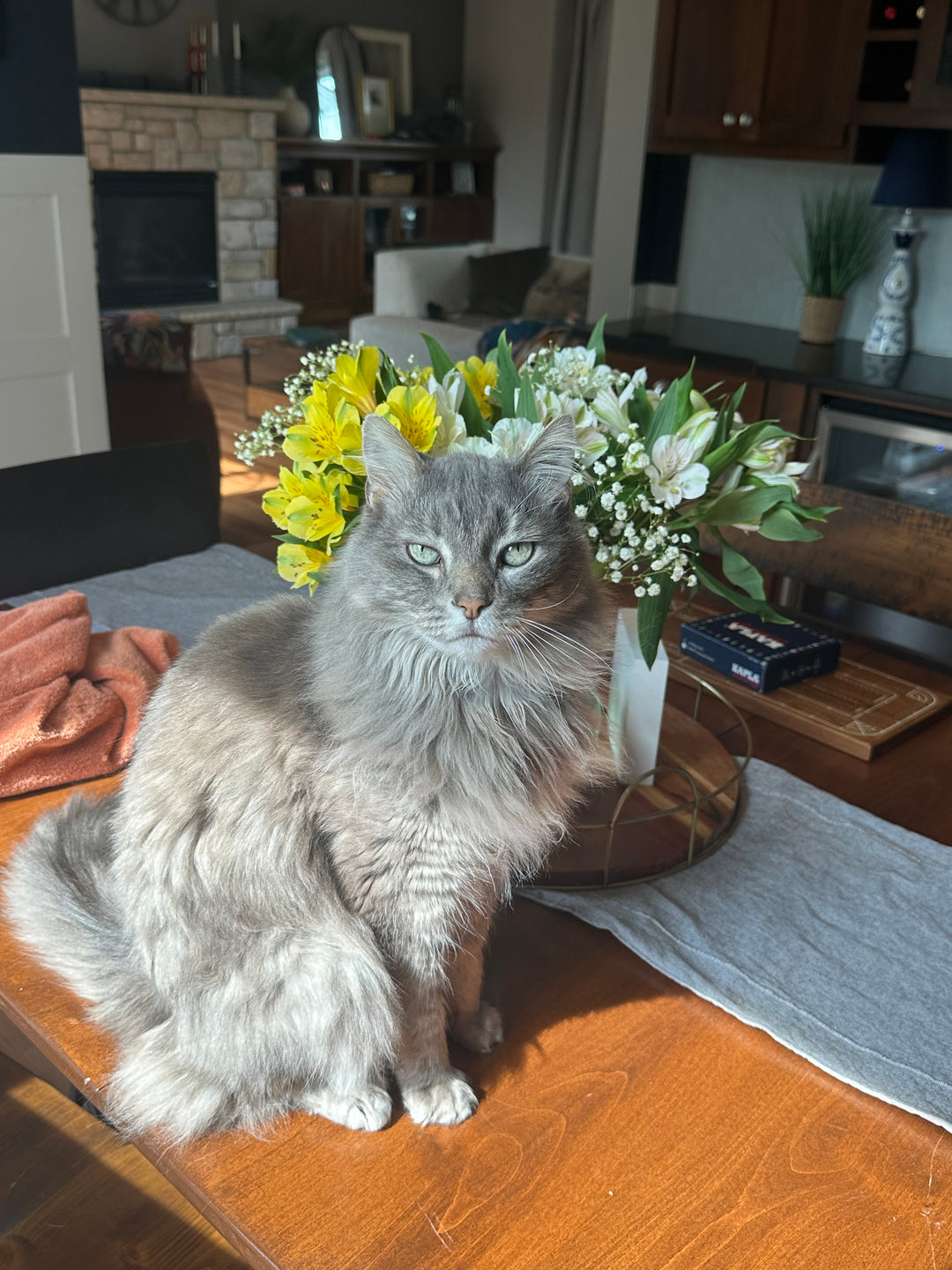 Original pet photo