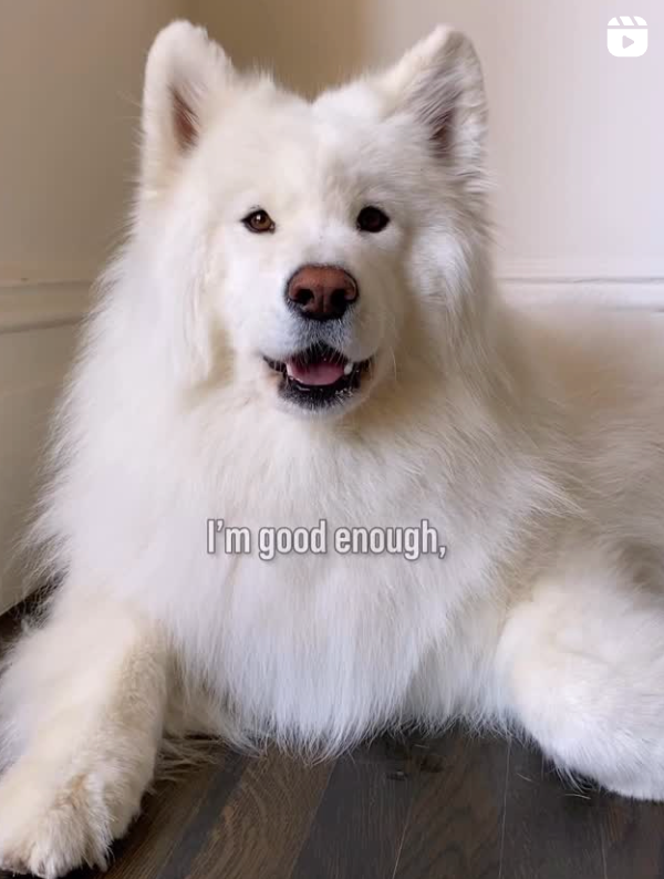 Coconut - original photo