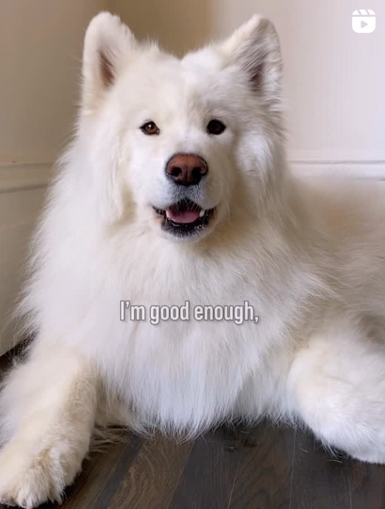 Coconut - original photo