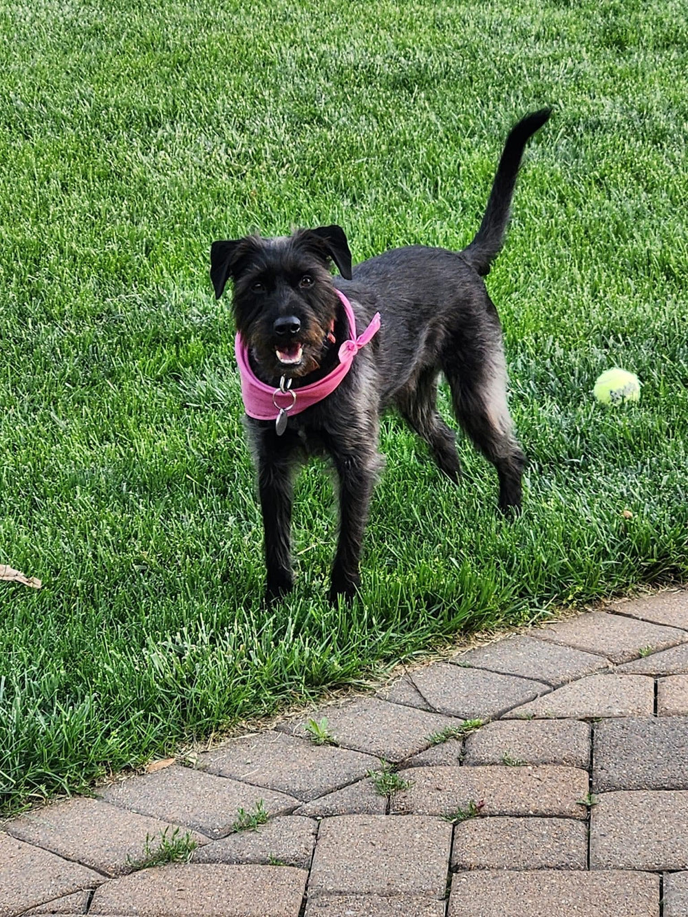 Betty - original photo
