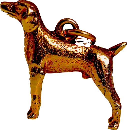 Original pet photo