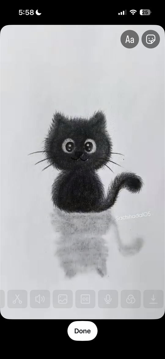 Original pet photo