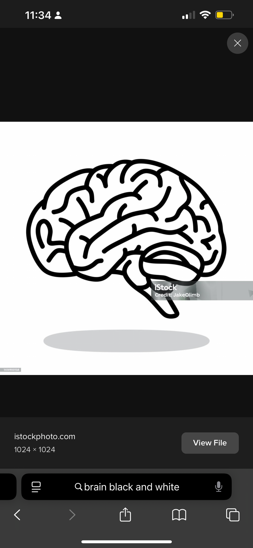 Brain  - original photo