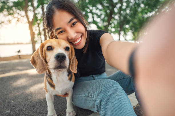 Original pet photo