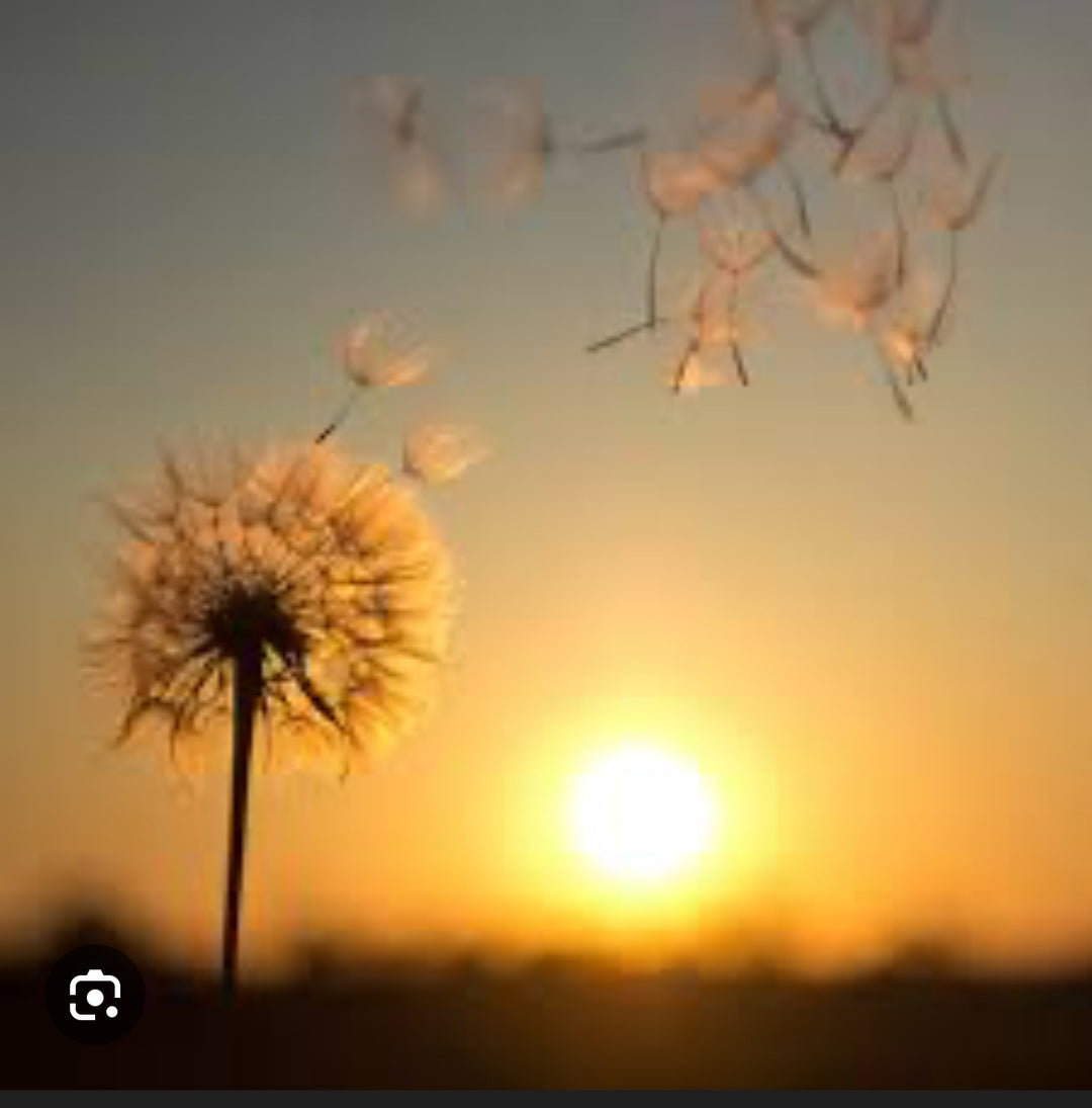 wind - original photo