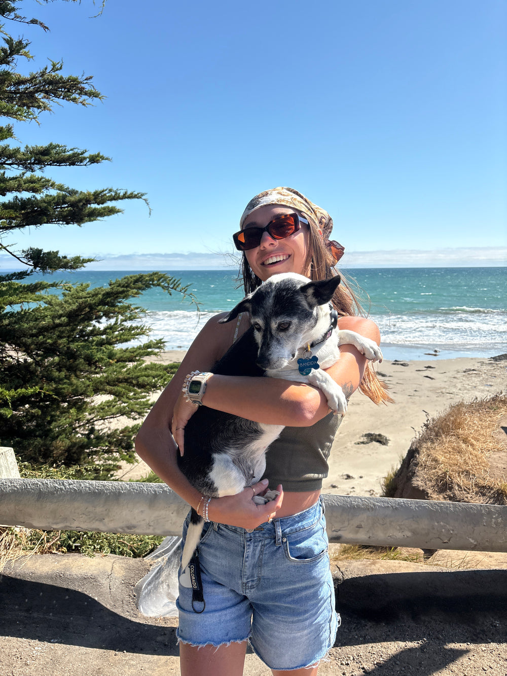 Original pet photo