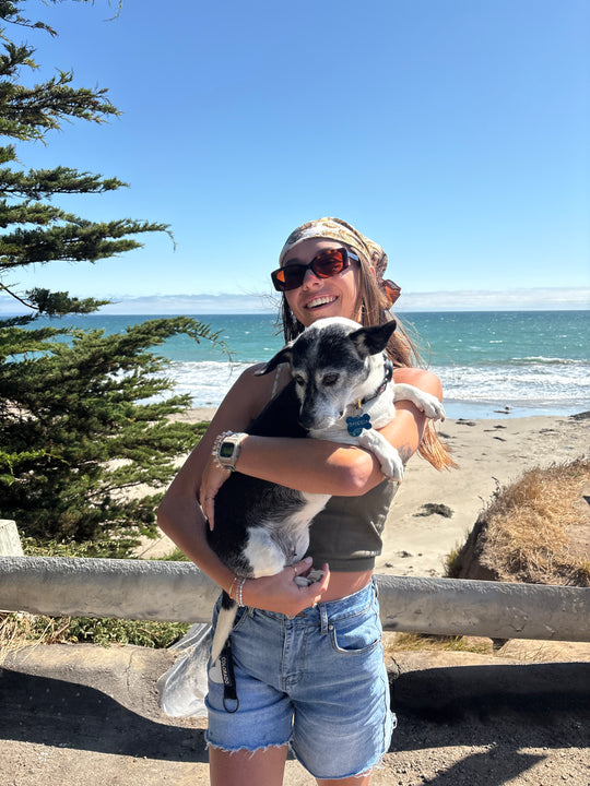 Original pet photo