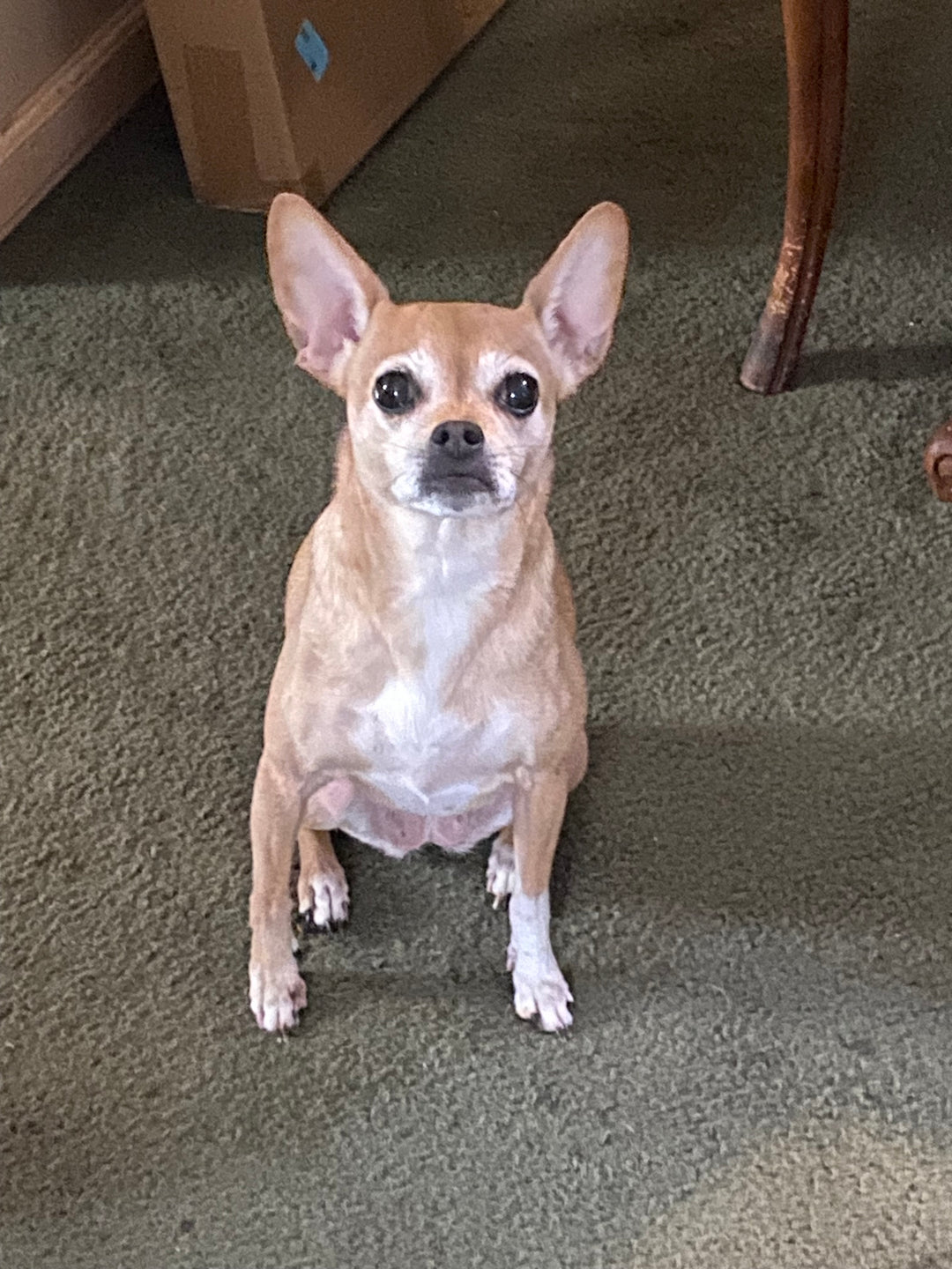 My gwen - original photo