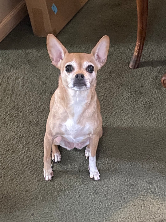 My gwen - original photo