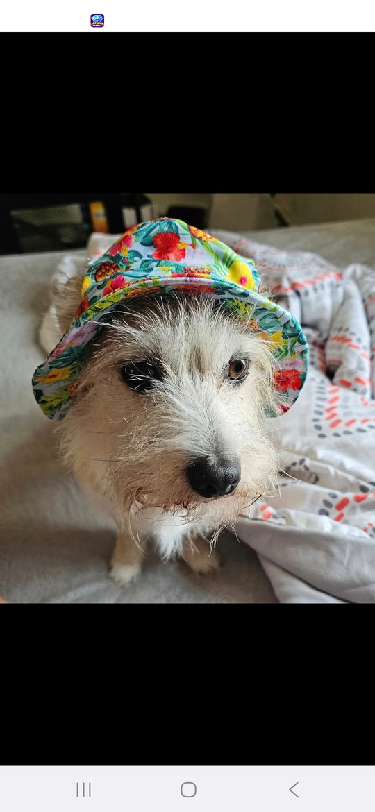 My best boy  - original photo