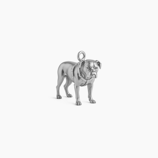 Custom charm design - Sterling Silver finish