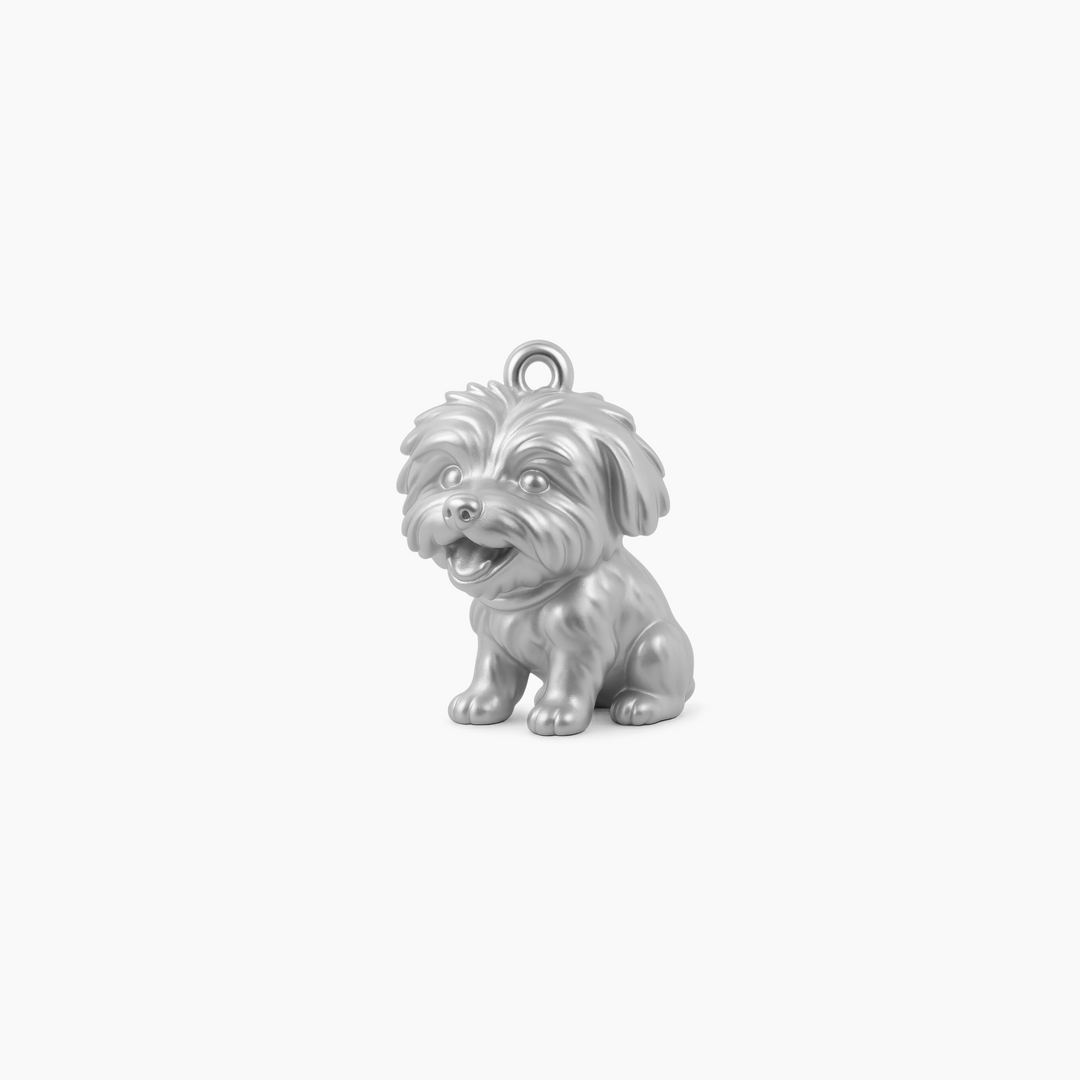 Custom charm design - Sterling Silver finish
