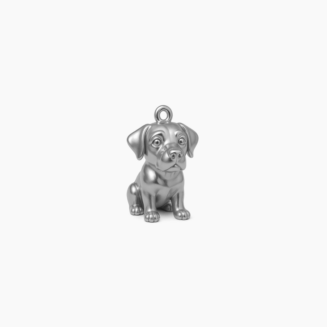 Custom charm design - Sterling Silver finish