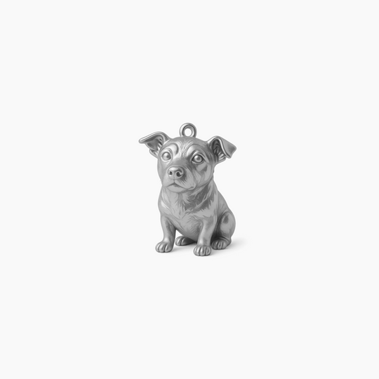 Sterling Silver finish