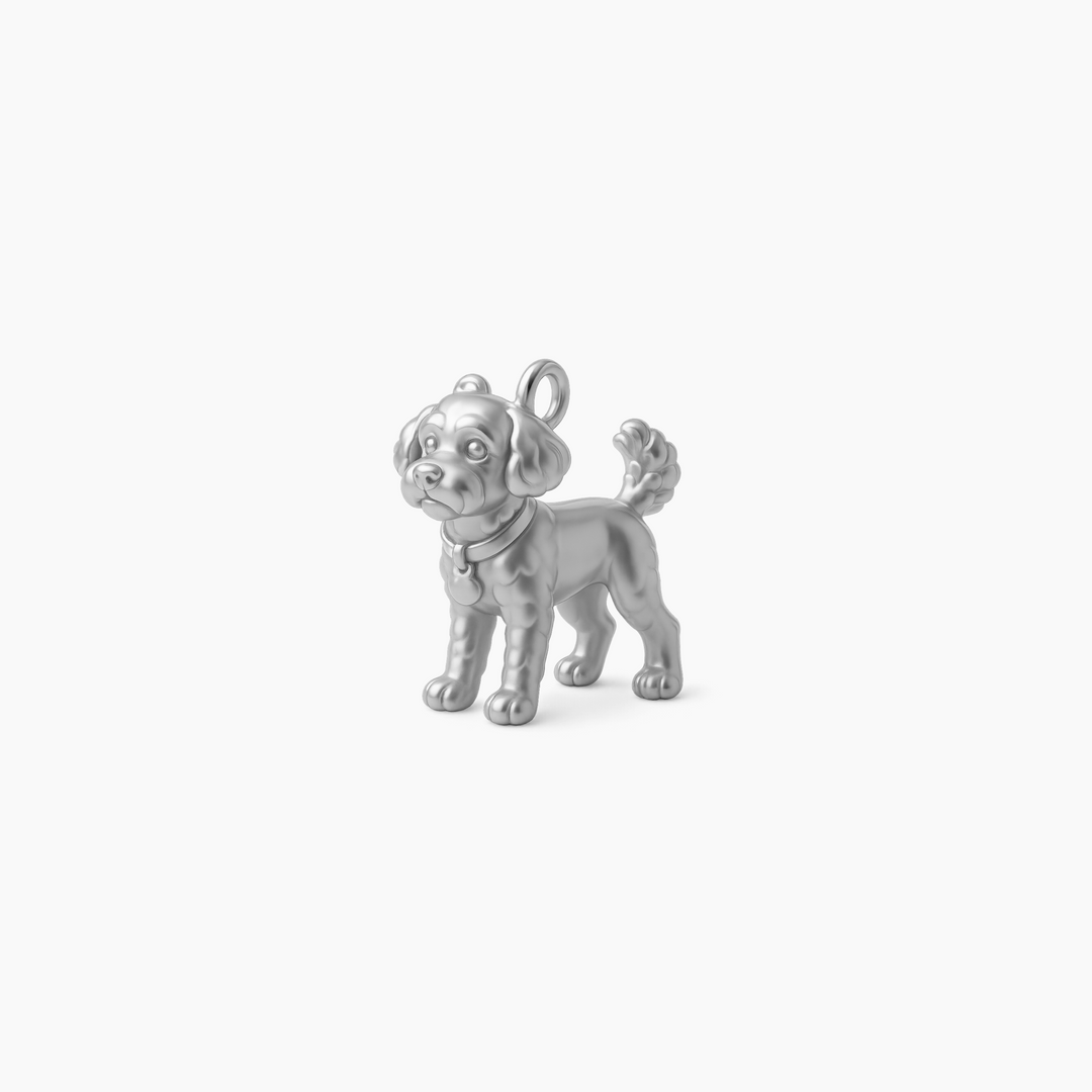 Sterling Silver finish