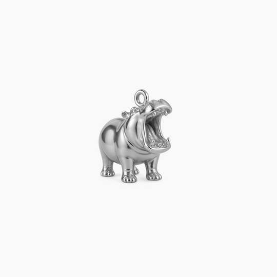 Sterling Silver finish