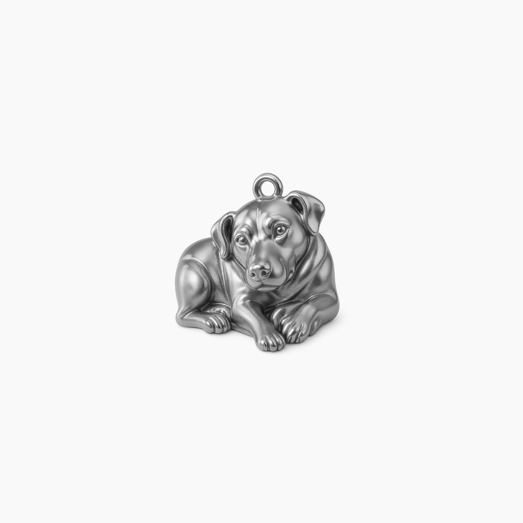 Sterling Silver finish
