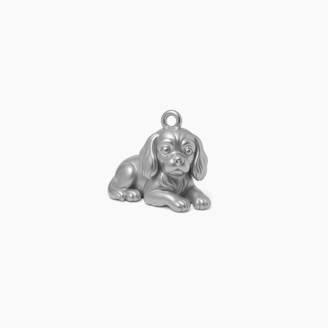 Sterling Silver finish