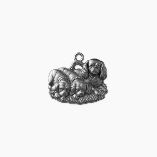 Sterling Silver finish