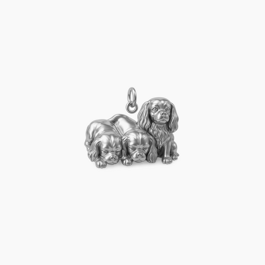 Sterling Silver finish (Edited)