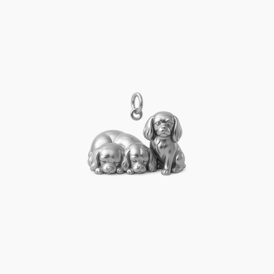 Sterling Silver finish (Edited)