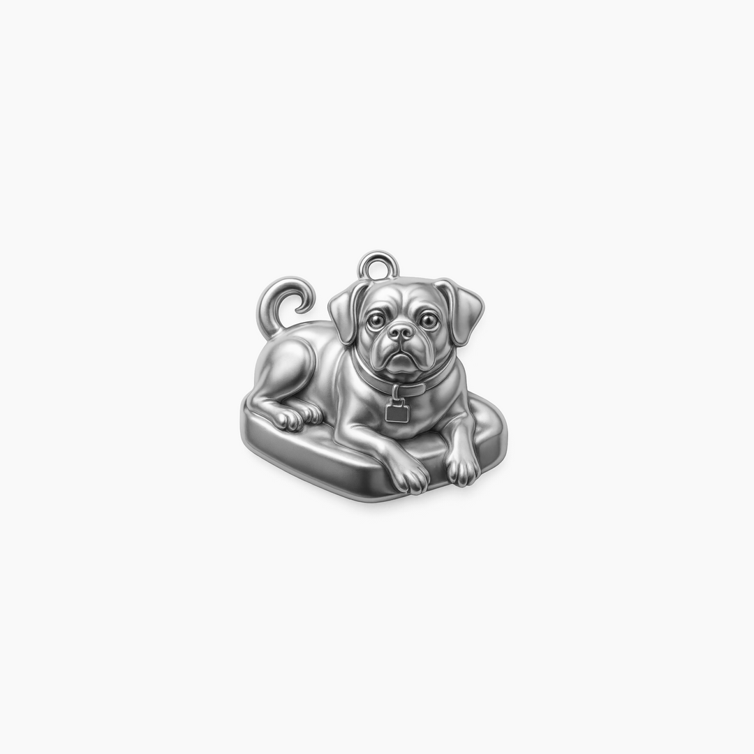 Sterling Silver finish