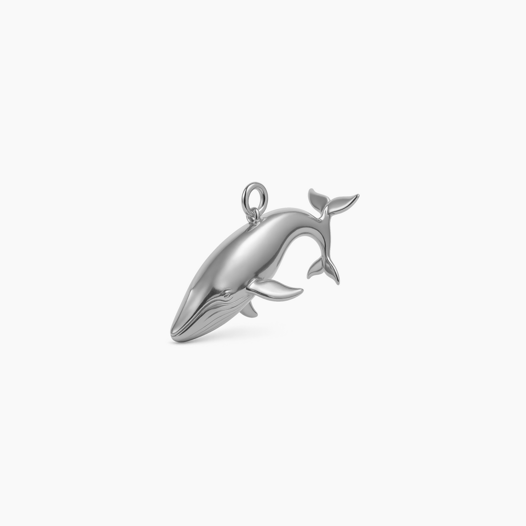 Sterling Silver finish